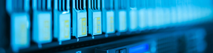 LM_ManagedServices_ManagedServer Managed services ensure stability, patches, monitoring and security.